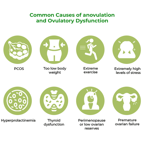 Ovulation disorders